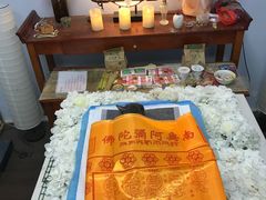 -彩虹桥宠物火化殡葬善终服务(金乐大厦店)