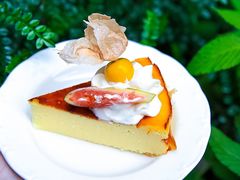 -dokidoki