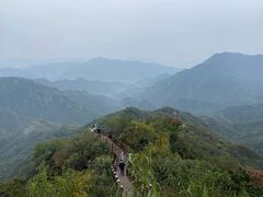 -大岭沟猕猴桃谷风景区