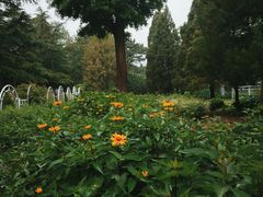 -国家植物园南园