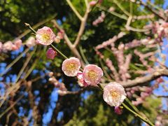 -静安雕塑公园