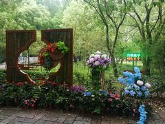 -同里国家湿地公园