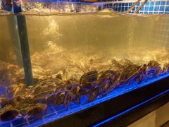 -锅儿欢海鲜火锅烤肉自助餐(东港凯虹店)