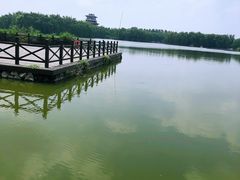 -毛遂公园