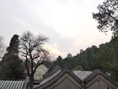 -颐和园