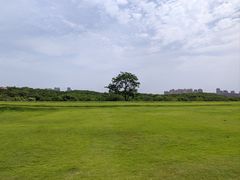 -盘龙城国家考古遗址公园