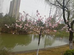 -江南大学(蠡湖校区)