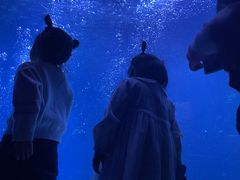 -石家庄海洋公园