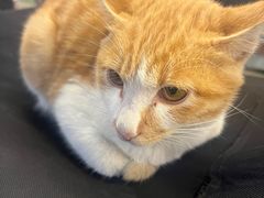 -恒生商业广场(上丰店)