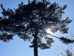 -秦岭终南山世界地质公园翠华山景区