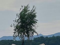 -三岔湖景区