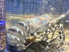 -青蓬蒸汽海鲜·深圳老字号·团建聚会(壹方城店)