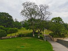-成都保利公园皇冠假日酒店(熊猫基地店)