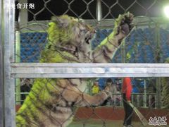 -西安秦岭野生动物园