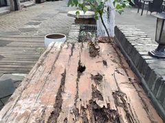 -南京晨光1865创意产业园