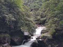 -大鄣山卧龙谷景区