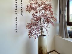 -小茶闲舍·观景商务茶馆(广州塔店)