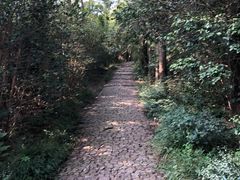 -紫金山山顶公园