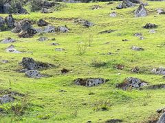 -齐岳山