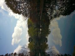 -上海共青森林公园