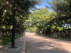 -刘公岛景区