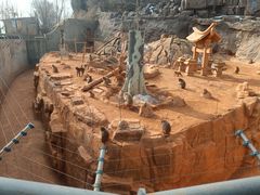 -辛玛王国游乐园