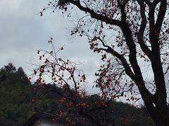 -丹山赤水风景名胜区