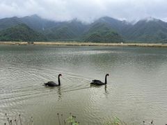 -大九湖