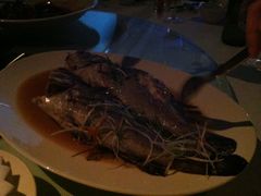 IMG_5124-上海雅居乐万豪侯爵酒店