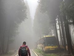 -武陵山森林公园