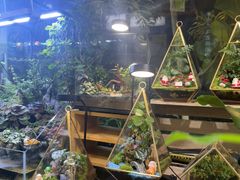 -弗劳尔花艺坊(龙涛店)