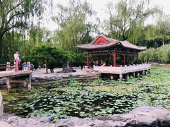 -申德勒加油站西餐厅(日坛路总店)