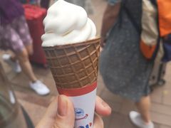 -富豪雪糕车流动点(尖沙咀店)