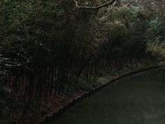 -同里国家湿地公园