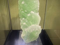 -中华赏石园