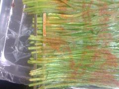 android_upload_pic-新疆烧烤王(广灵店)