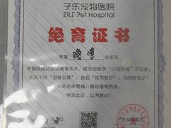 -子乐宠物医院