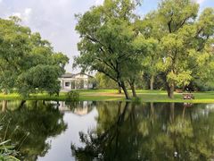 -上海共青森林公园