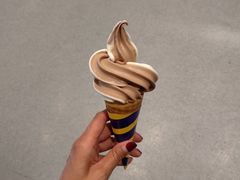 双色巧克力甜筒-宜家家居(西安未央商场店)