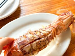 -凯华海鲜火锅·传承三十六年