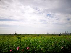 -灞河西岸滨河公园