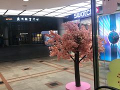 -VT101维多利广场