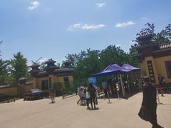 -御林古桑园