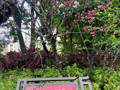 -乌山风景区