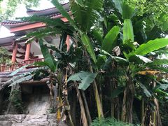 -南山植物园