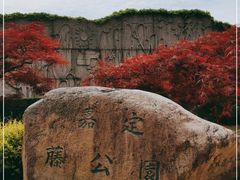 -嘉定紫藤园
