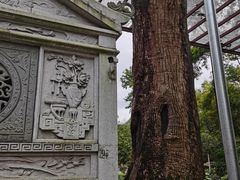-南华禅寺