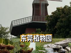 -东莞植物园