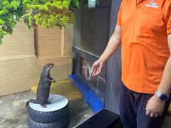 -太平洋海底世界