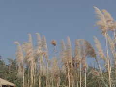 -洛带古镇